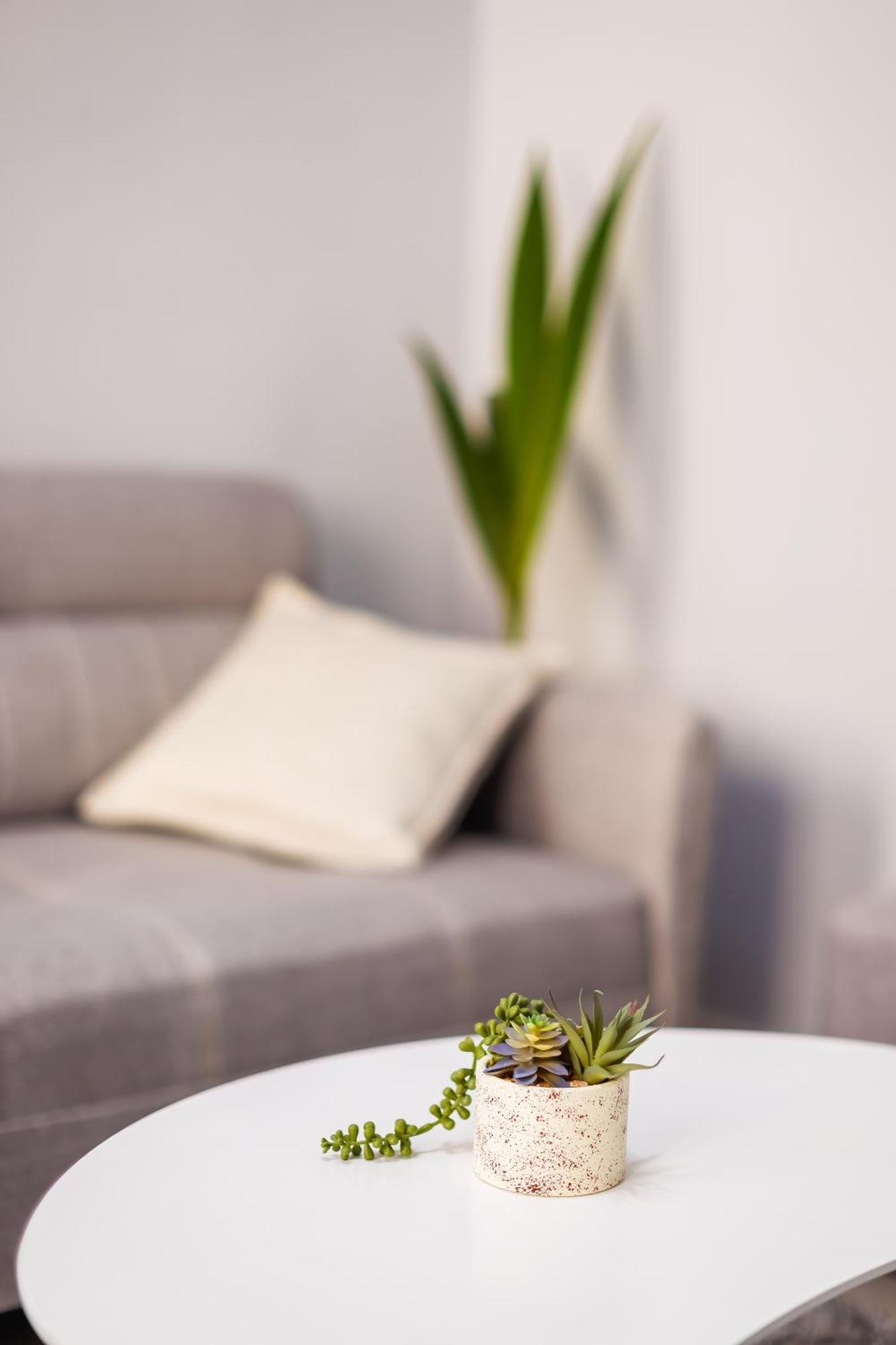 Viewpoint Central Apartment Tirana Buitenkant foto